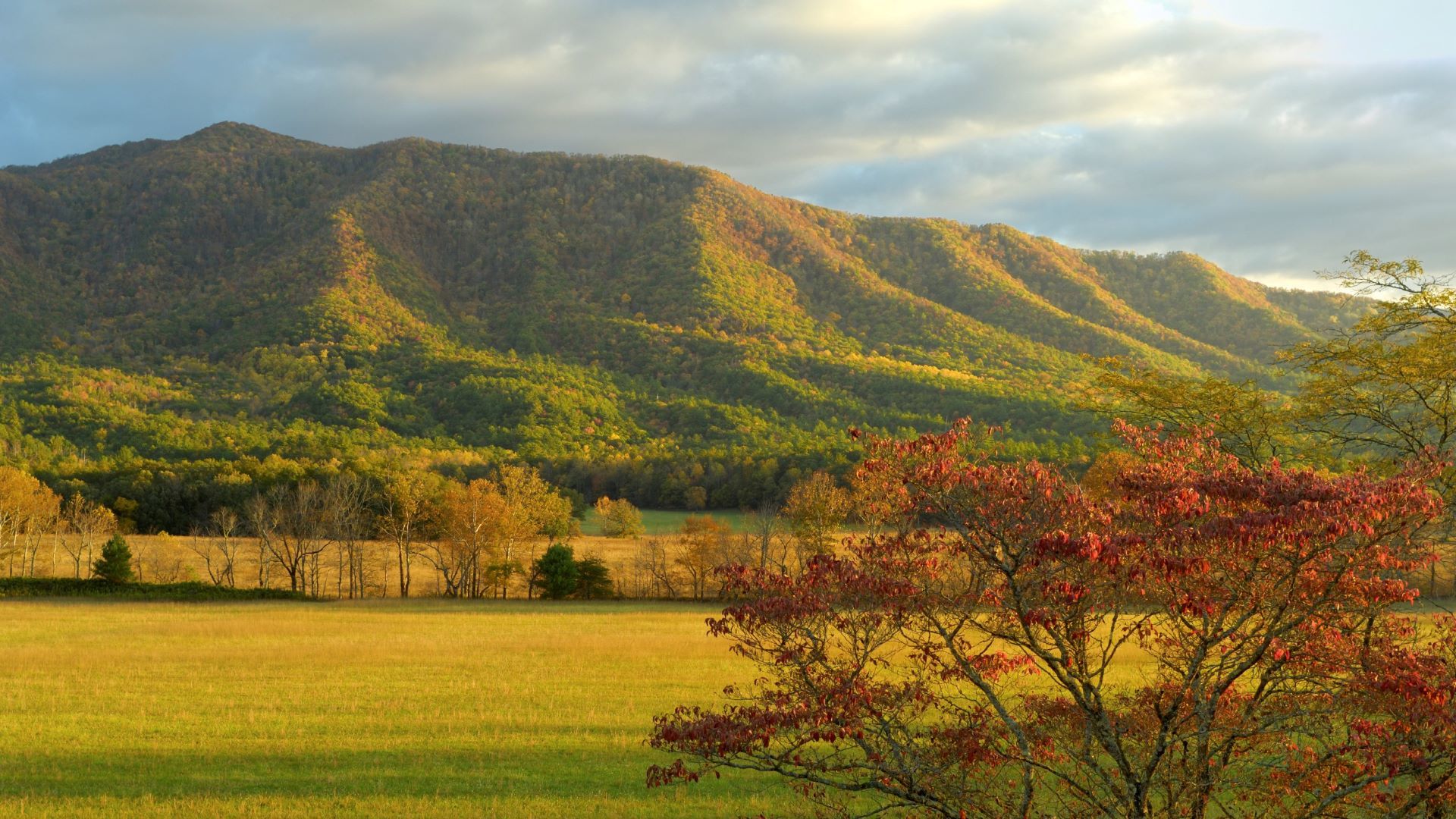 A Large Green Field With A Mountain In The Background