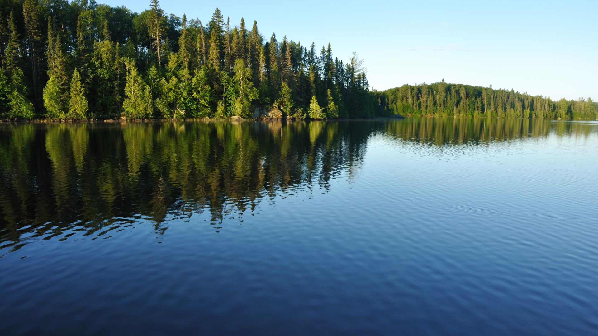 A Large Body Of Water Surrounded By Trees