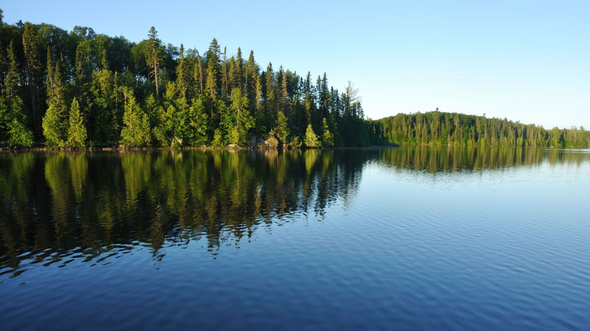 A Large Body Of Water Surrounded By Trees