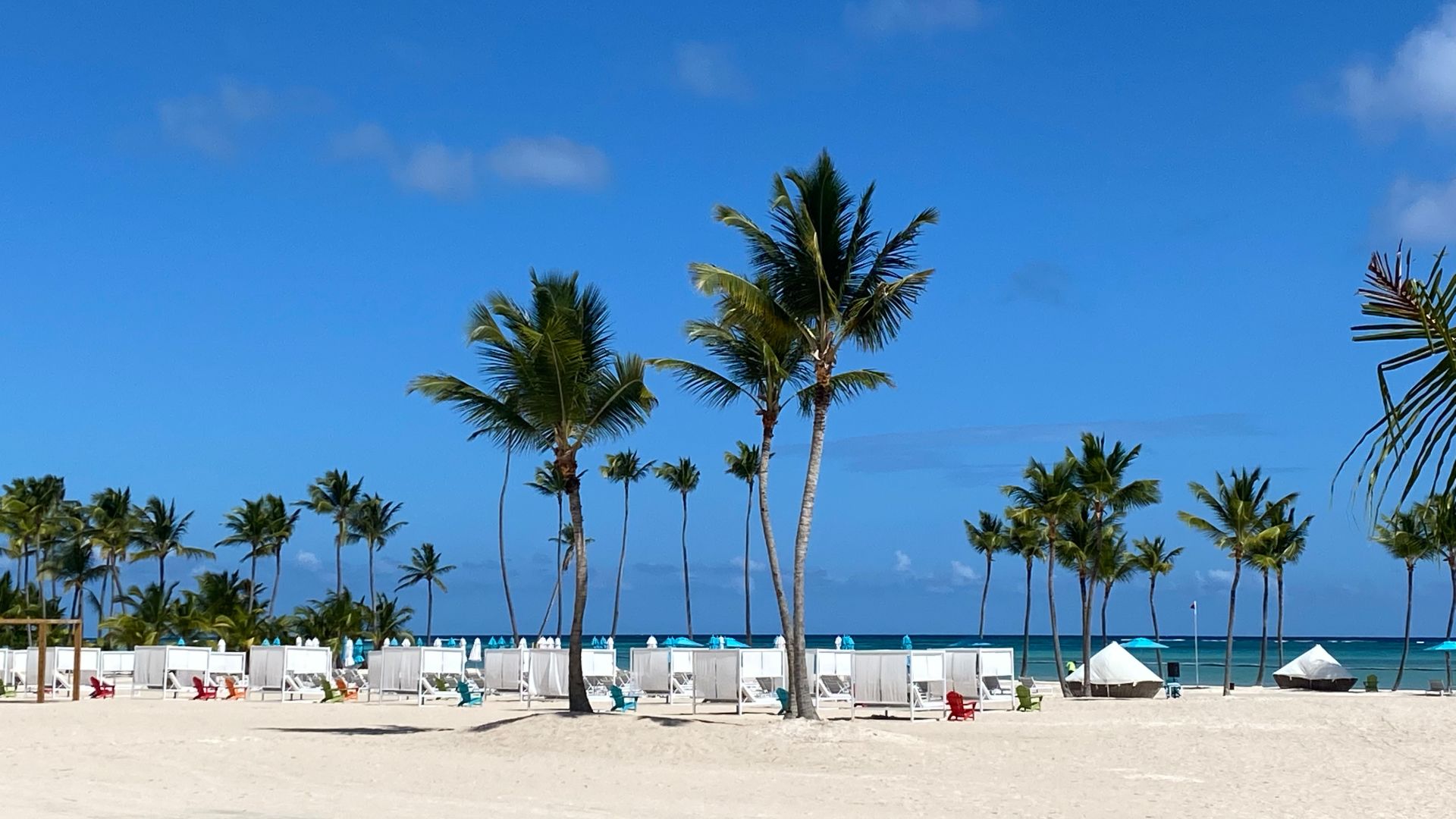 A Group Of Palm Trees On A Sandy Beach