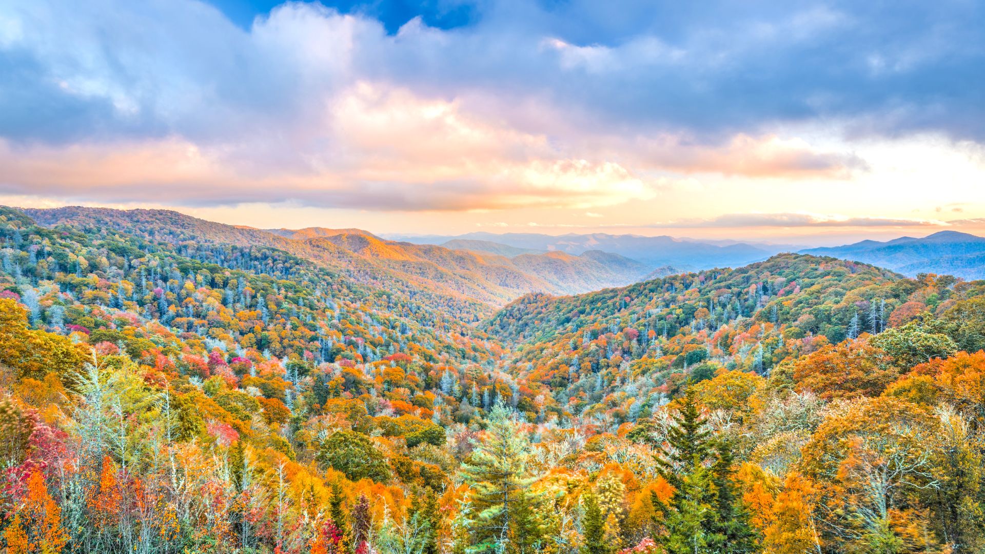 Fall Great Smoky Mountains TN