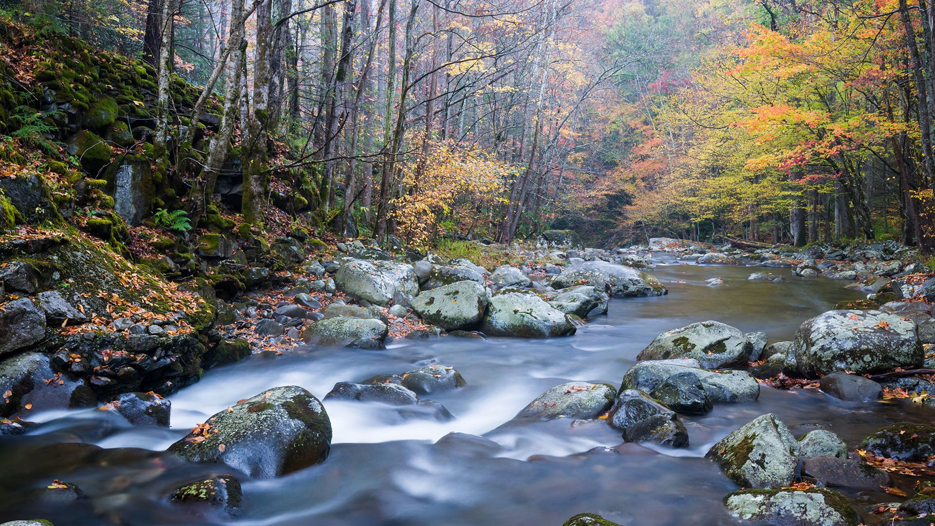 The Little River in Tennessee is the perfect place to go fishing near Gatlinburg