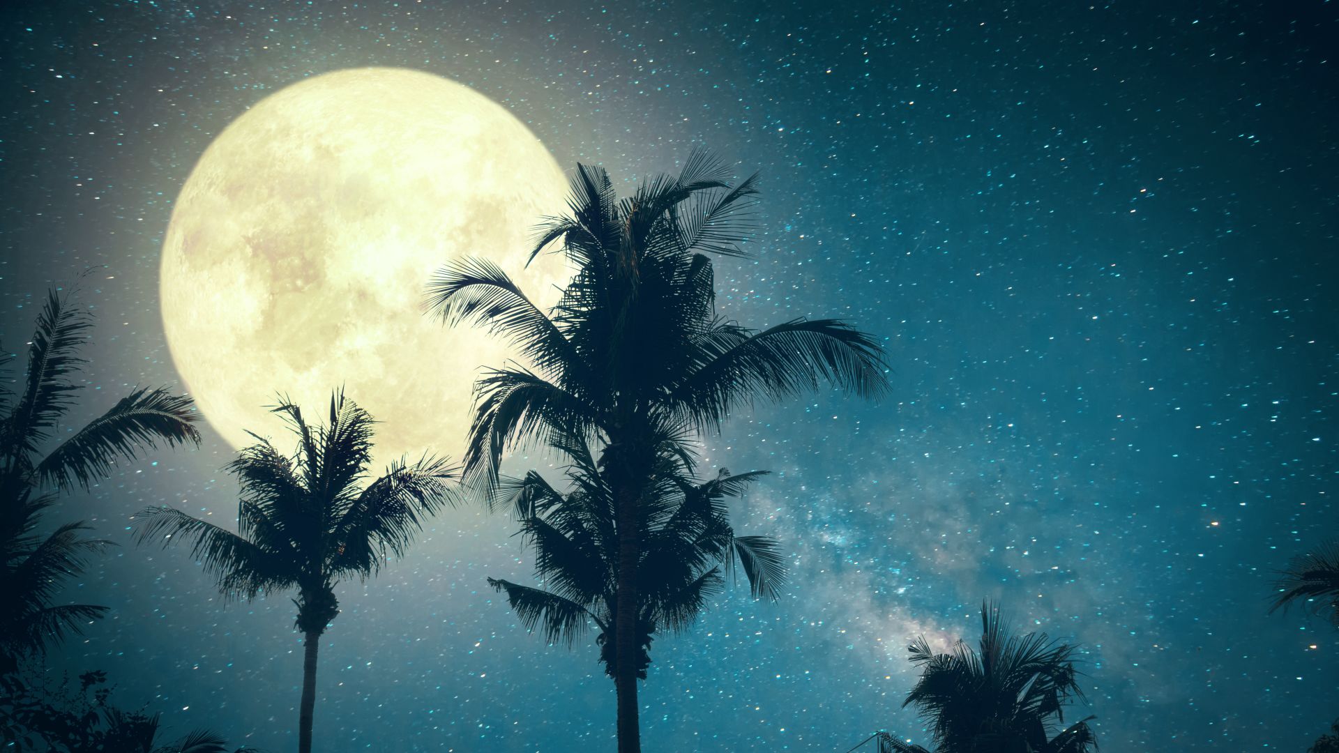 A Group Of Palm Trees Under A Bright Moon