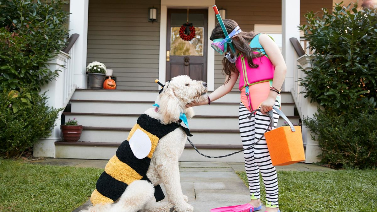 Young girl and her dog in Halloween costumes going trick-or-treating.