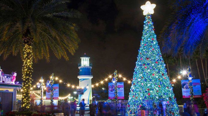 Christmas tree lit up a nighttime at SeaWorld, Orlando