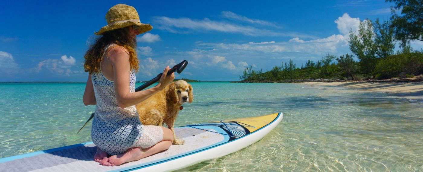 A Person And A Dog On A Surfboard In The Water