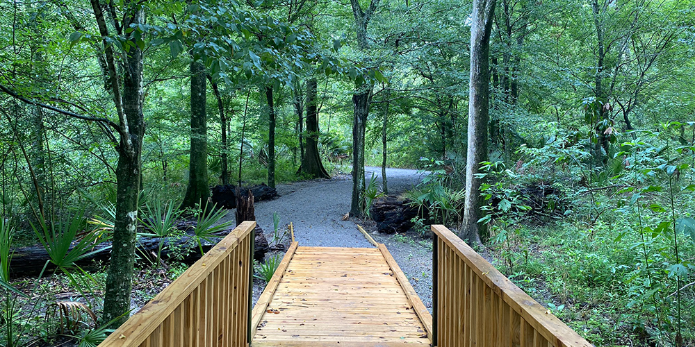 A Wooden Bridge In A Forest